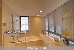 Domus (D12), Apartment #179535722